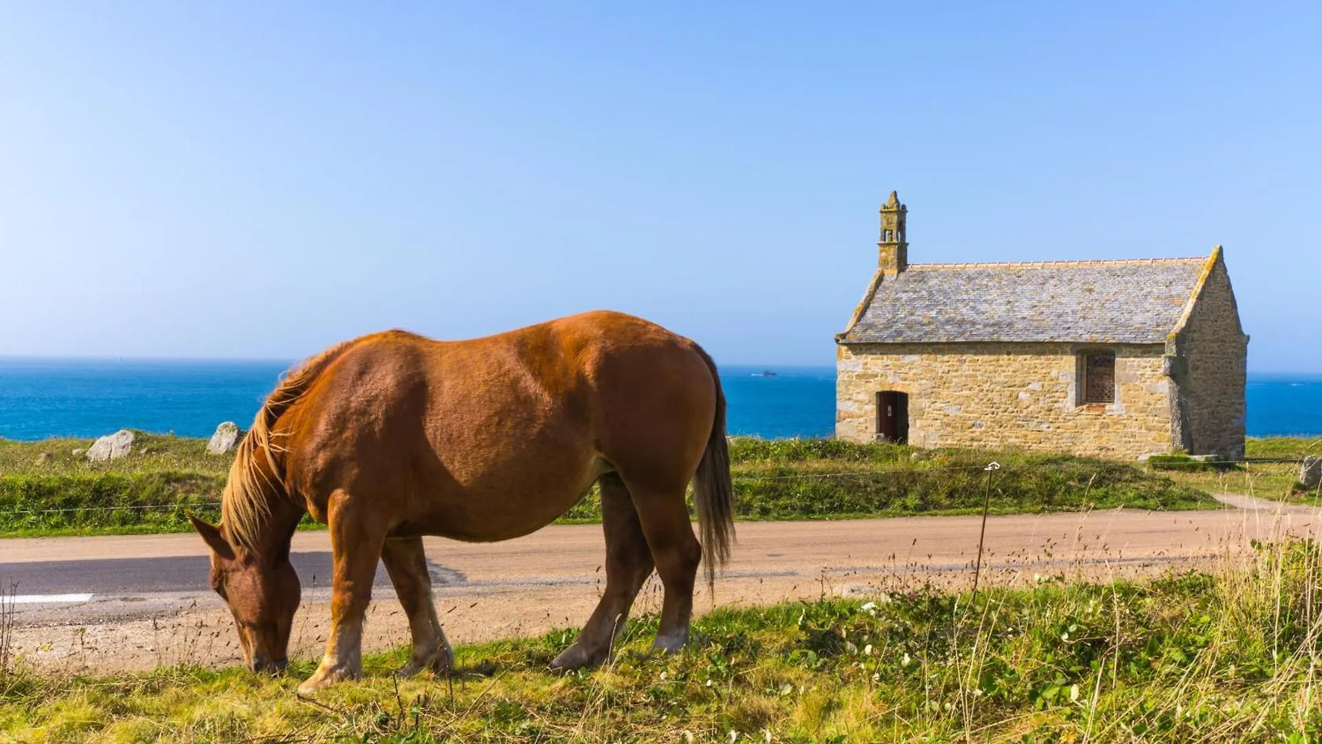 An 21 - Charmante Maison A 300M De La Mer Porspoder Holiday home